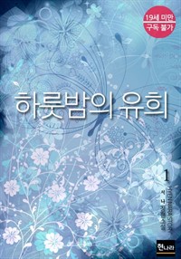 하룻밤의 유희 1